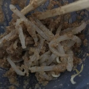 簡単節約居酒屋メニュー！もやしの胡麻和え